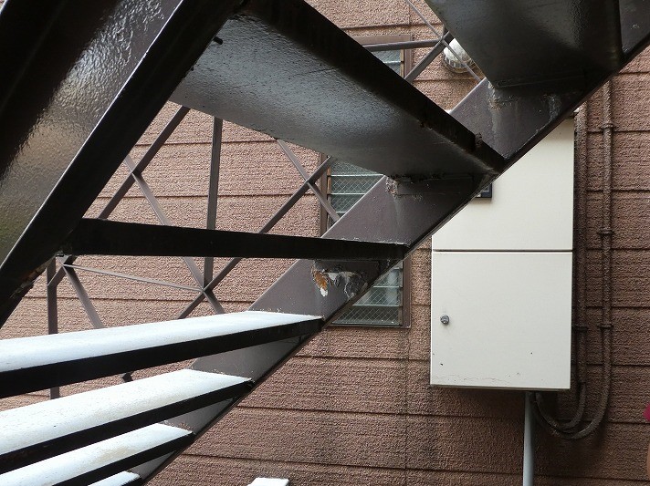 相模原市のアパート外装工事の施工事例/施工前/外部鉄骨階段